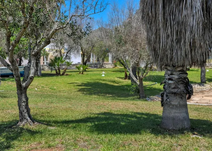 Tenuta L'alba Di Monte Matino - Mobil *