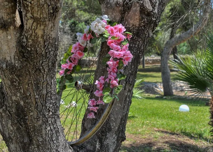 Σπίτι διακοπών Tenuta L'alba Di Monte Matino - Mobil *