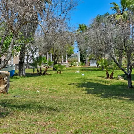 Tenuta L'alba Di Monte Matino - Mobil *