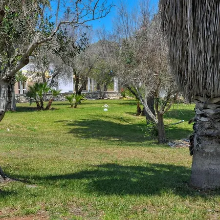 Tenuta L'alba Di Monte Matino - Mobil *