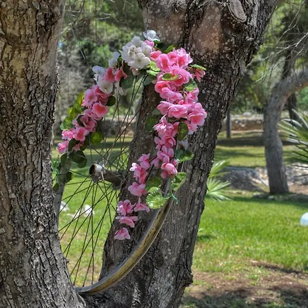 Tatil Evi Tenuta L'alba Di Monte Matino - Mobil *
